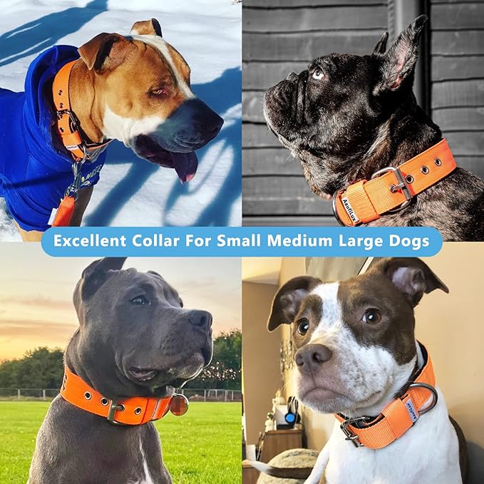 Heavy Duty Tactical Dog Collar - 1.5" Width Military Durable Thick Nylon with Adjustable Metal D Ring & Buckle Working Training K9 Collar for Medium Large Dogs (S(14"-17"), Orange)