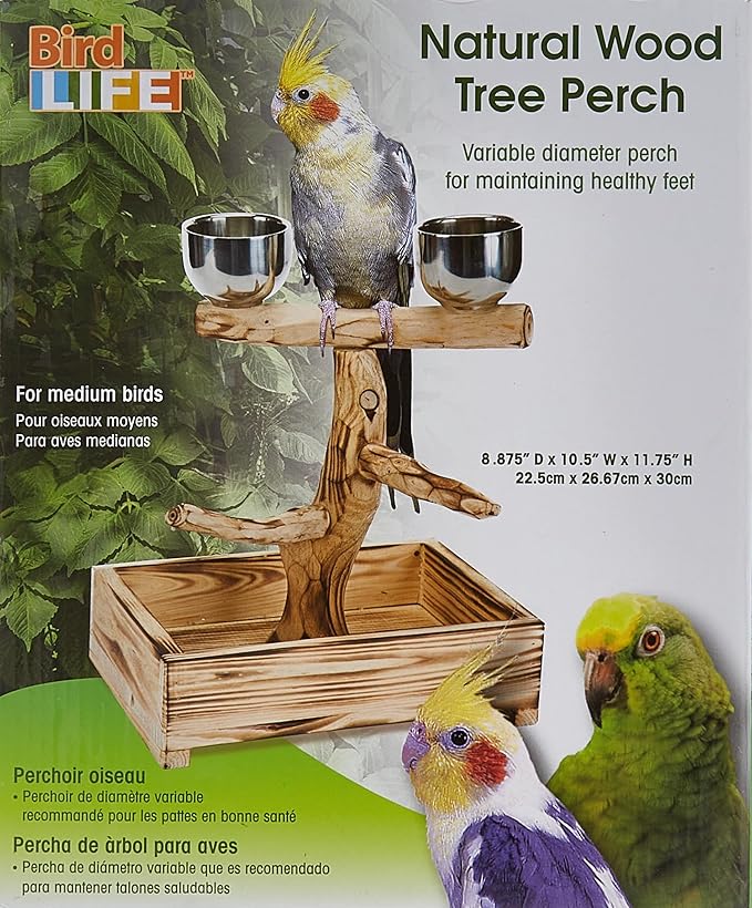 PENN-PLAX Bird-Life Natural Wood Tree Perch for Small and Medium Birds – Includes Food and Water Bowls with Drop Tray – Medium