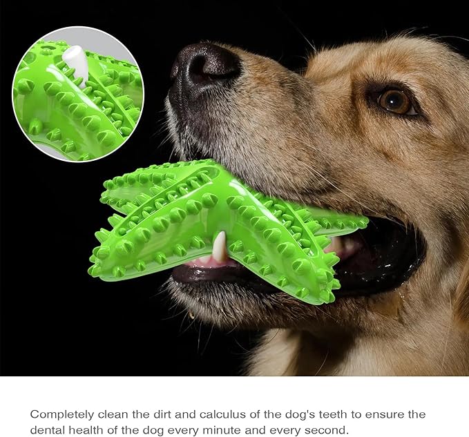 Chew Toy for Dog Toothbrush Stick Dog Toys for Aggressive Chewers Interactive Toys Treats Tough Toy to Keep Them Busy Chew Toys for Small Dogs (Star Toy - Green)