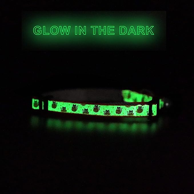 Pawtitas Halloween Cat Collars for Cats Adjustable Collar Glow in The Dark Feature and Safety Breakaway Buckle and Removable Bell to Match Your Halloween Cat's Costume - Orange Pumpkins Pattern