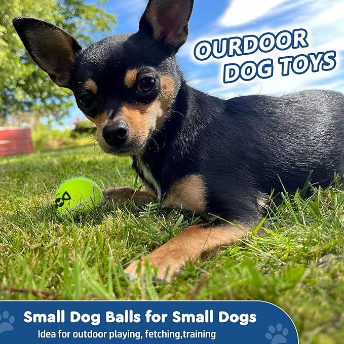 Tennis Balls for Dogs - 12 Pack 2.0'' Durable Non-Toxic Outdoor Dog Toys Balls with Mesh Bag, SGS Certified, Colorful Fetch Toys, Small Breeds (Non Squeaky)