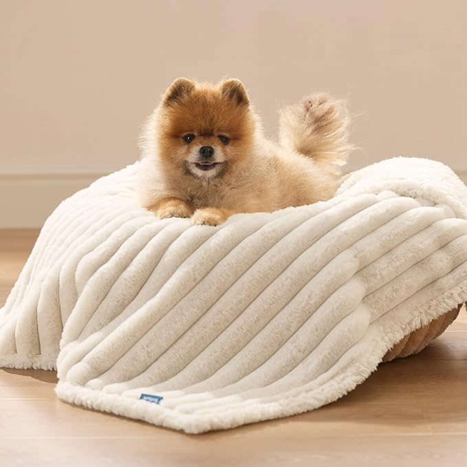 Bedsure ComfyFleece™ Waterproof Dog Blankets for Small Dogs - Soft Puppy Cat Blanket Corduroy Fleece Washable, Cozy Calming Reversible Furniture Protection for Pet Kitten Doggy,25"x35", Cream