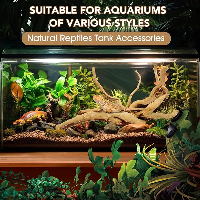 Jorewood Natural Large Spiderwood Driftwood for Aquarium Decor Rptile Fish Tank Decoration Assort Branch 13-16'' Pack of 1