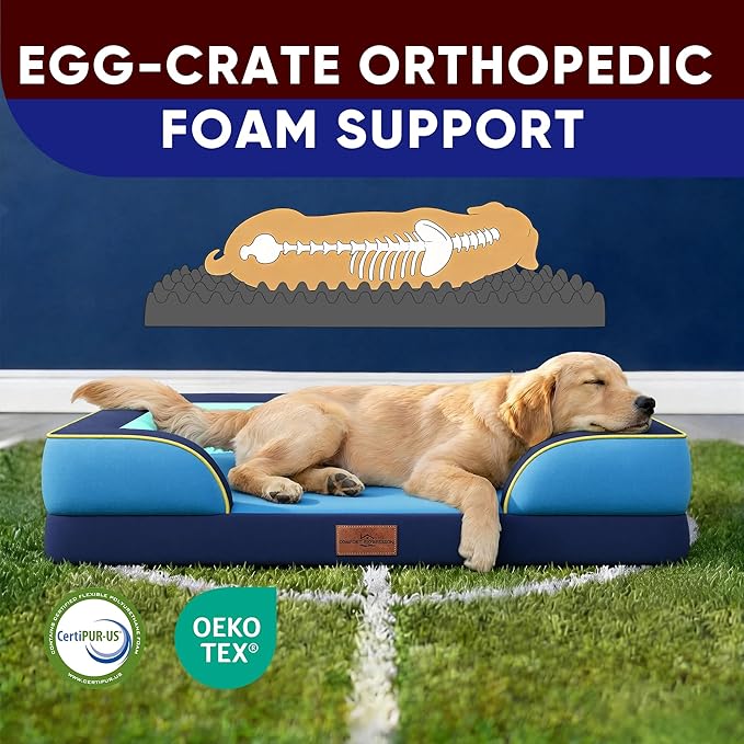 Comfort Expression Orthopedic Dog Bed for Extra Large Dogs 42x30 Inch, Waterproof Egg Crate Foam XL Pet Bed with Removable Bolsters, Dog Couch with Washable Cover & Non-Slip Bottom, New Jersey