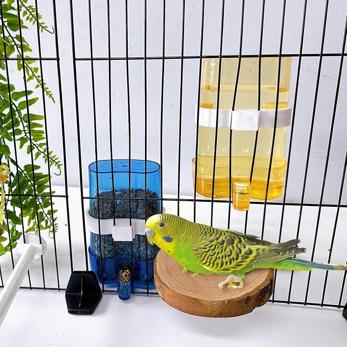 Hamiledyi Parakeet Water Dispenser 4pcs Automatic Bird Water Dispenser Transparent Container Cage Accessories Automatic Feeding for Finch Lovebird Canary Small Birds