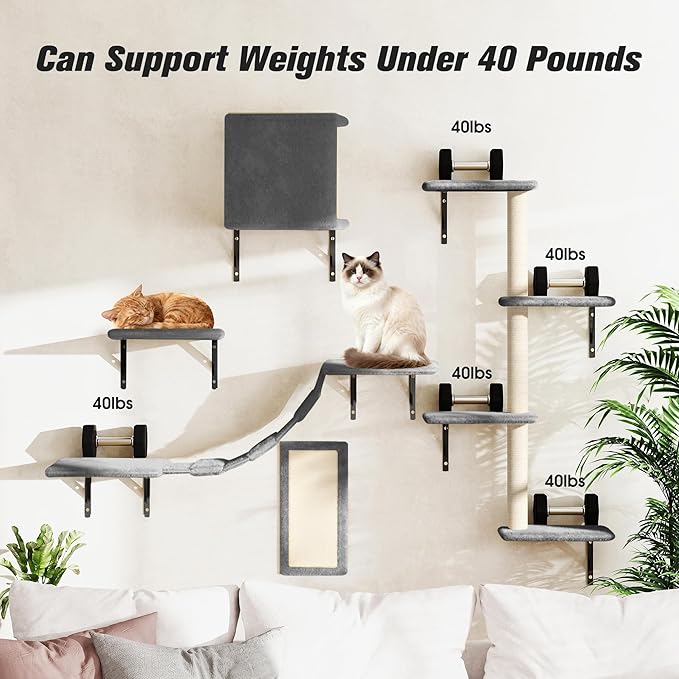 COZIWOW Wall Mounted Cat Furniture, Cat Wall Shelves and Perches, Floating Cat Shelves for Wall Set of 5 (Grey)