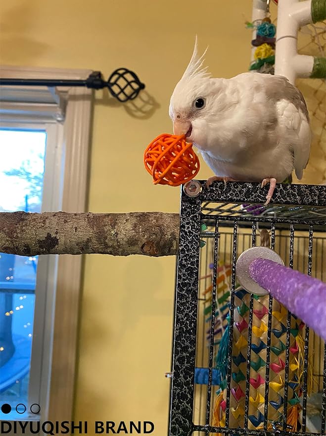 10-Pack Bird Toys for Parrots – Natural Rattan & Plastic Bell Balls – Safe, Fun Cage Decor & Foot Exercise (1.5'' - 5.5'')