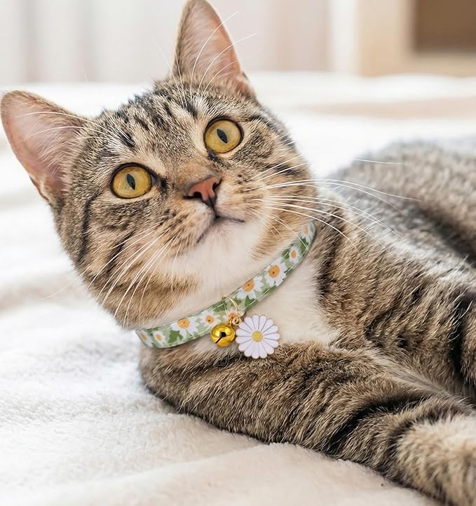 2 Pack Cat Collar Breakaway, Daisy Collar for Girl Cats, Adjustable Breakaway Cat Collars with Bell, Cute Floral Design Perfect for Female Kitten, 7.5-11 Inch, Pink & Green