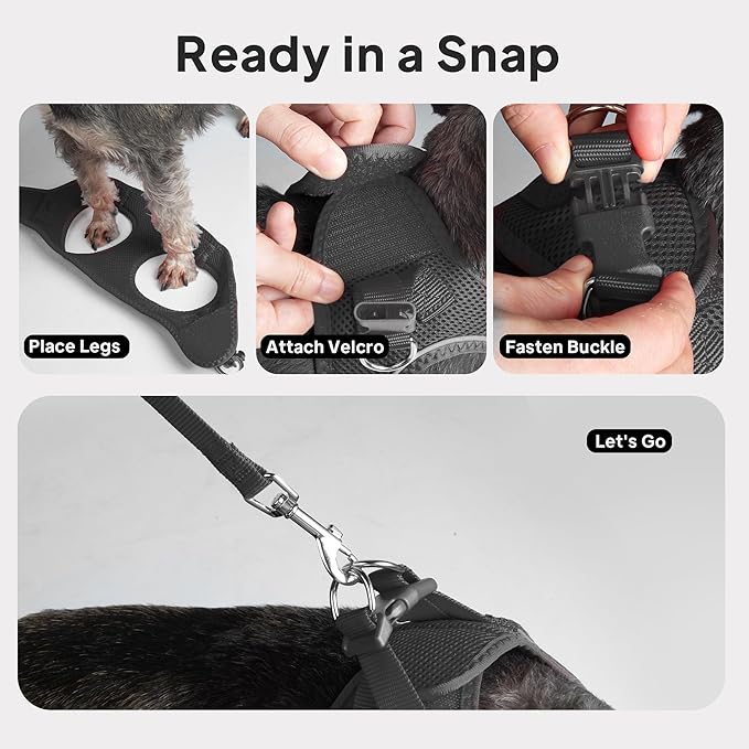 PetiFine Step in Small Dog Harness and Leash Set, Breathable All Weather Air Mesh Reflective Escape Proof, Step-in Vest Harnesses for Puppy(XS, Black)