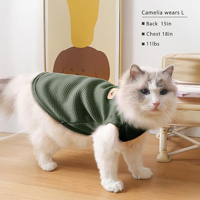 Waffle Knit Cat & Dog T Shirt for Small Dogs, Stretchable Puppy Shirt for Sphynx Cats & Small Breeds, Pet Clothes | Breathable Summer/Winter Apparel for Newborn(Green XLarge)