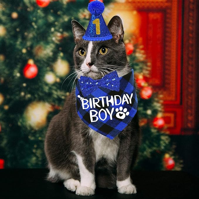 STMK Cat Birthday Decorations, Cat Birthday Hat with Number Bandana Bow Tie Collar for Cats Kittens Apparel Birthday Outfits