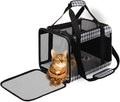 EXPAWLORER Large Cat Carrier Dog Carriers Soft for Small Medium Cats Puppies Up to 20lbs, Airline Approved Pet Carrier Soft-Sided Collapsible Pet Travel Carrier Fit 2 Kitties (Black)