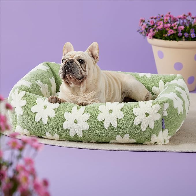 LE SURE Cute Dog Bed for Medium Dogs - Washable Pet Beds,Cozy Rectangle Orthopedic Sofa with Jacquard Shaggy Plush & Anti Slip Bottom,30x24x8inches