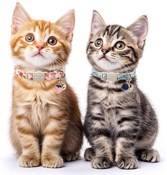 2 Pack Spring Summer Cat Collars - Cute Breakaway Cat Collar with Bell, Bluberry and Strawberry Pendant, Adjustable Kitten Collars for Girl Cats, Pastel Floral Fruit
