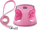 BOOMIBOO Dog Harness with Leash Set, No Pull Adjustable Reflective Step-in Puppy Pet Vest Harnesses for Small Medium Large Dogs and Cats,Pink S