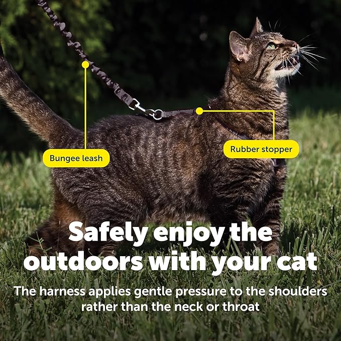 PetSafe Come With Me Kitty Cat Harness & Bungee Leash - Comfortable Cat Harness with Lightweight Bungee Leash for Outdoor Fun - More Secure Walks - Medium - Black