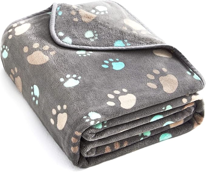 Allisandro 350 GSM-Super Soft and Premium Fuzzy Flannel Fleece Pet Dog Blanket, The Cute Print Design Washable Fluffy Blanket for Puppy Cat Kitten Indoor Outdoor, Grey, 40 x 32 Inches