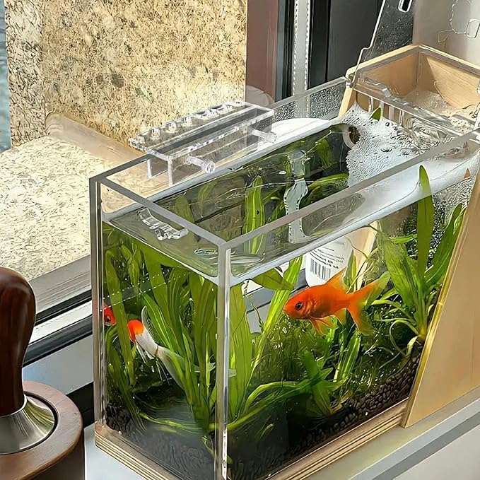 Fish Tank Tool Organizer - Acrylic Aquarium Rack, Transparent Maintenance Stand, Plant Tool Holder, Durablee Water Grass Organizer | Multi-Slot Storage Rack Elegant Display for Scissors, Tweezers