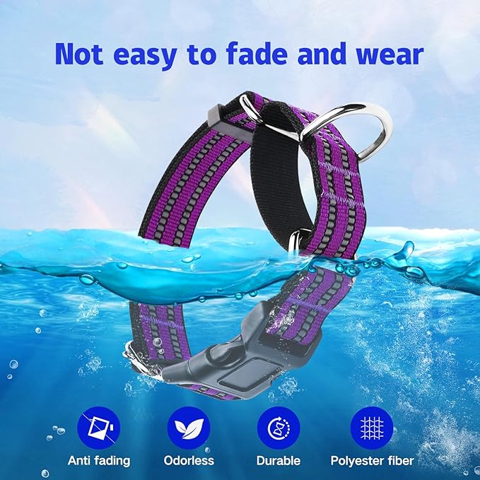 Martingale Dog Collar, Adjustable Nylon Reflective Collar with Quick Release Buckle (Real Purple, Large)