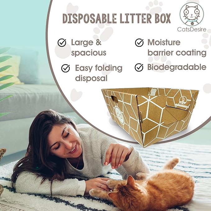 Tallest Disposable Cat Litter Box 15 Trays 2 Trays Litter Box Low Entry Original Patented Indentical Design19 Lx17 Wx8.5 17 in. Closed Box. Woman Lifelong Cat Care Sassy Uses Daily 14 yrs Made-US
