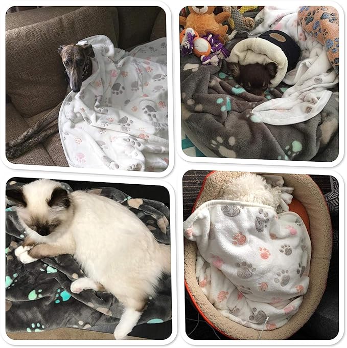 Allisandro 350 GSM-Super Soft and Premium Fuzzy Flannel Fleece Pet Dog Blanket, The Cute Print Design Washable Fluffy Blanket for Extra Large Puppy Cat Kitten Indoor or Outdoor, White, 80 x 64 Inches