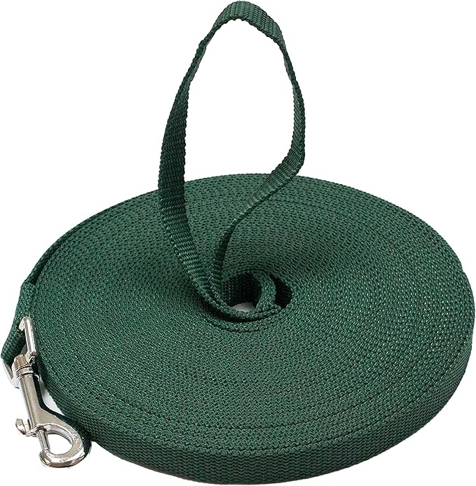 Downtown Pet Supply - Long Dog Training Leash for Recall & Obedience - Nylon, 30 ft, Hunter Green