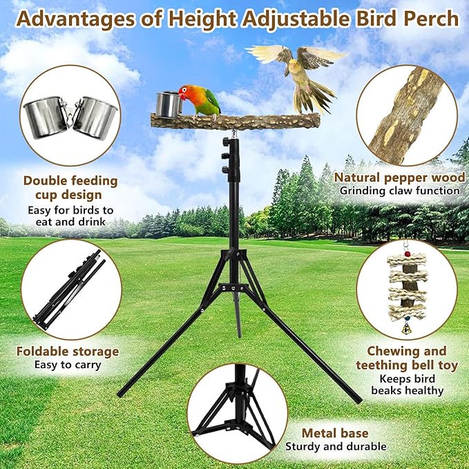kathson 28-60inches Height Adjustable Bird Perch, Pepperwood Parrot Perch Stand with Feeding Cup, Multi-Purpose Bird Perches for Indoor and Outdoor Use, Designed for Small Medium Birds (3 PCS)