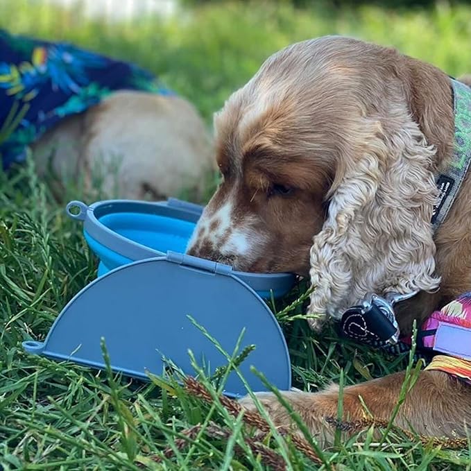 Loving Pets - Bella Roma Portable Travel Dog Bowl Collapsible Dog Food & Water Bowl (Blue, Large)