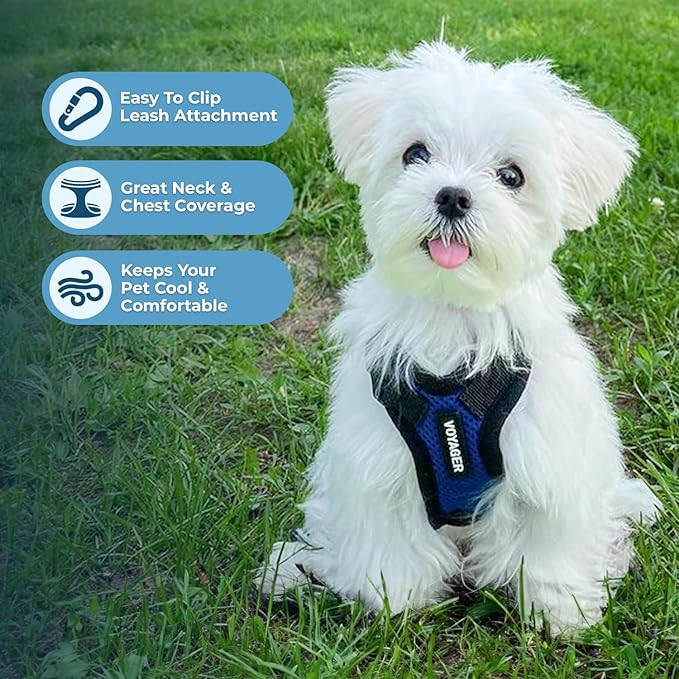 Voyager Step-in Pet Harness - All Weather Mesh, Adjustable Step in Harness for Cats and Dogs by Best Pet Supplies - Royal Blue/Black Trim, XL