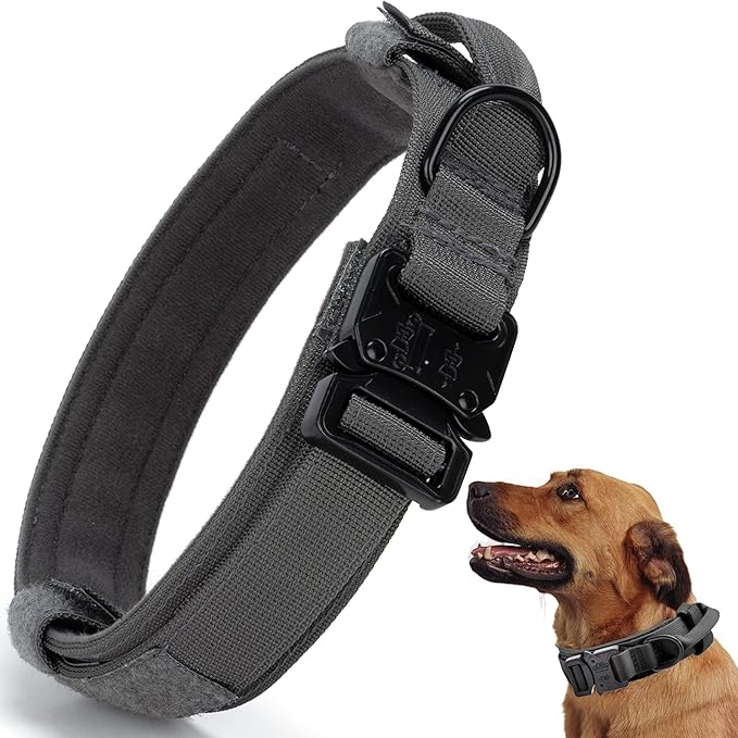 Tactical Dog Collar, Adjustable Military Training Nylon Dog Collar with Control Handle and Heavy Quick-Release Metal Buckle for Small Medium Large Dogs, Grey XL