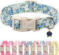 Blueberry Pattern Dog Collar, Cute Light Blue Spring Summer Puppy Collar - Soft Adjustable Designer Dog Collars for Small Medium Large Dogs M