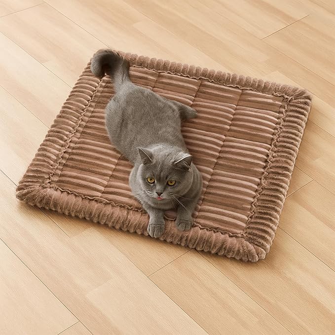 FUNNY FUZZY Pet Couch Covers for Sofa, Washable Dog Couch Cover Protector for Dogs, Flannel Couch Covers for Dogs Pet Friendly Pets Mat Bed (Brown, 19.7"x19.7")