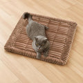 FUNNY FUZZY Pet Couch Covers for Sofa, Washable Dog Couch Cover Protector for Dogs, Flannel Couch Covers for Dogs Pet Friendly Pets Mat Bed (Brown, 19.7"x19.7")