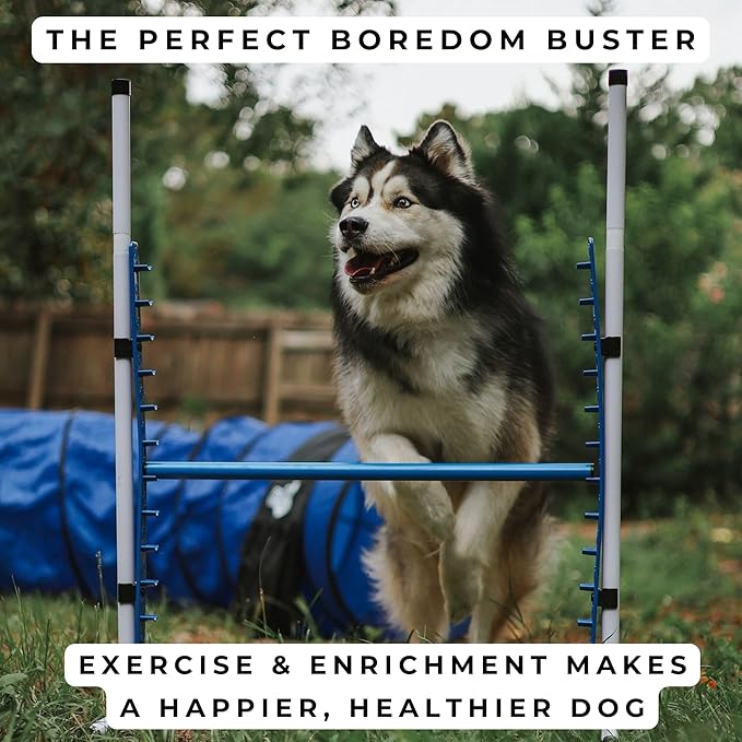 Better Sporting Dogs 4 Pack Adjustable Dog Agility Jumps w/Safety-Focused Features | 2 Bar Jumps with Cup Strips | 2 Breakaway Tire Jumps