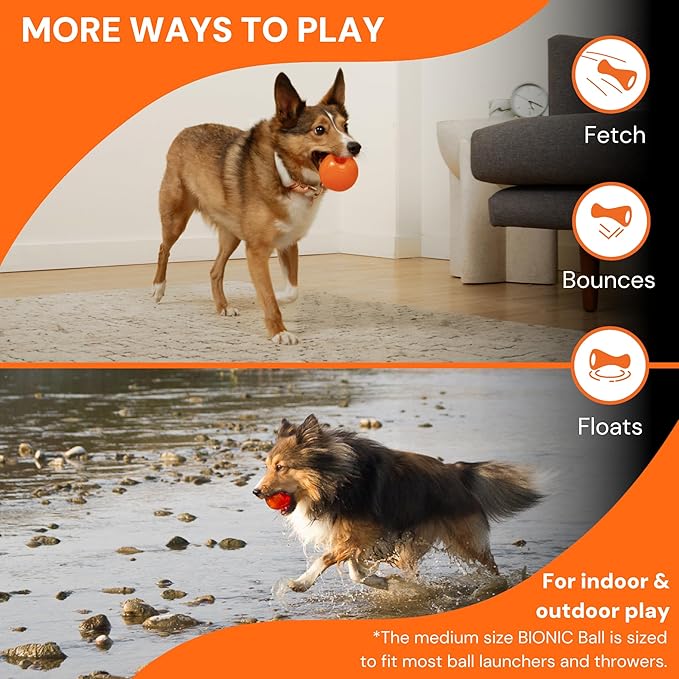BIONIC Ball Dog Toy, Small - Interactive Dog Chew Toy That Stands Up to The Toughest Chewers, for Dogs up to 20 lbs. (9 kg)