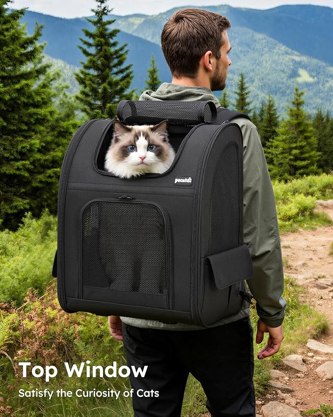 Pecute Cat Backpack Carrier XL, Expandable Pet Backpack for Cats & Small Dogs Up to 15lbs, with 4-Side Breathable Mesh, Multi-Entry & Lockable Zippers for Travel, Hiking, Camping - Hands Free, Black