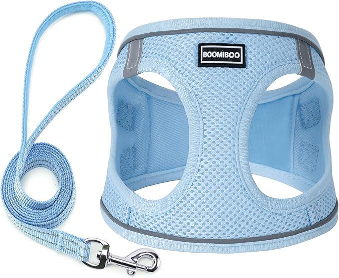 Dog Harness with Leash Set, No Pull Adjustable Reflective Step-in Puppy Pet Vest Harnesses for Small Medium Large Dogs and Cats,Sky Blue XXS