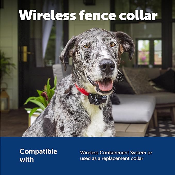 PetSafe Wireless Pet Containment System Receiver Collar - Battery-Operated & Waterproof - Adjustable Receiver Collar with 5 Correction Levels - for Dogs 5lb+