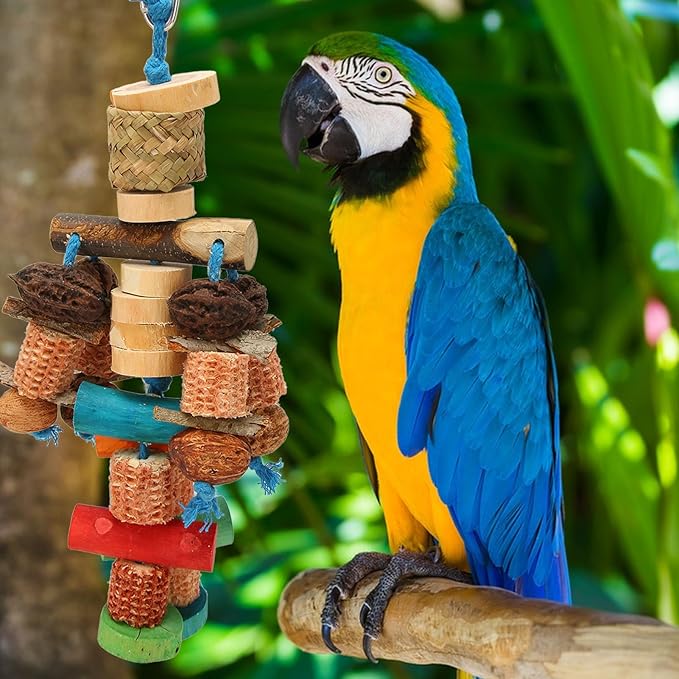 Parrot Chew Toy, Wood, Corn Cob and Nut, Non Edible Coloring, Beak Health, Foraging Toy for Macaws, Conures, Amazons