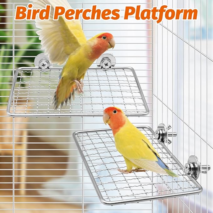 BNOSDM Bird Perch Platform 2 Pcs Stainless Steel Grid Parrot Perches Stand Shelf Parrots Platform Perch Small Birds Cage Accessories for Parakeets, Budgies, Conures, Cockatiels, Lovebirds (S)