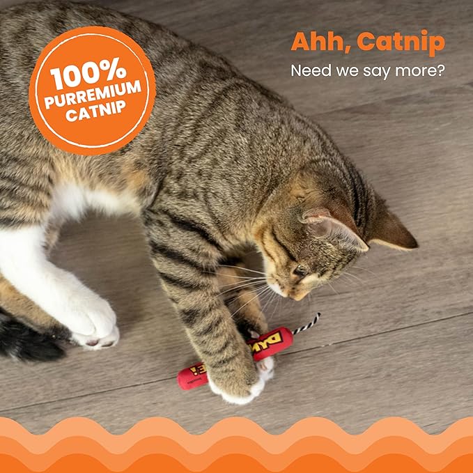 Catstages Green Magic Dynamite Stick Catnip Cat Toy,(Pack of 2)