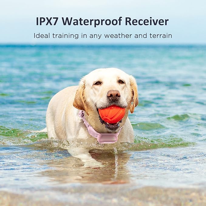 PATPET Shock Collar for Dogs - 4000FT Dog Training Collar with Remote, IPX7 Waterproof 4 Modes(Beep/Vibration/Shock/Safe) Dog Shock Collar, Rechargeable E-Collar for Small Medium Large Dogs (5-120Lbs)