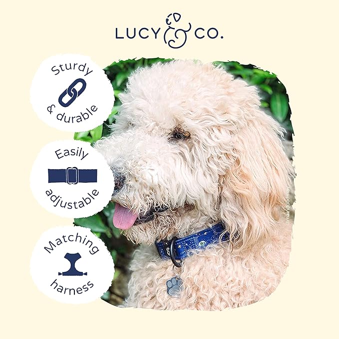 Lucy & Co. Space Doodle Adjustable Dog Collar- Cute Designer Pet Collar for Small, Medium, Large Dogs- Buckle Closure Dog Accessories, Small, Navy Outerspace Icons