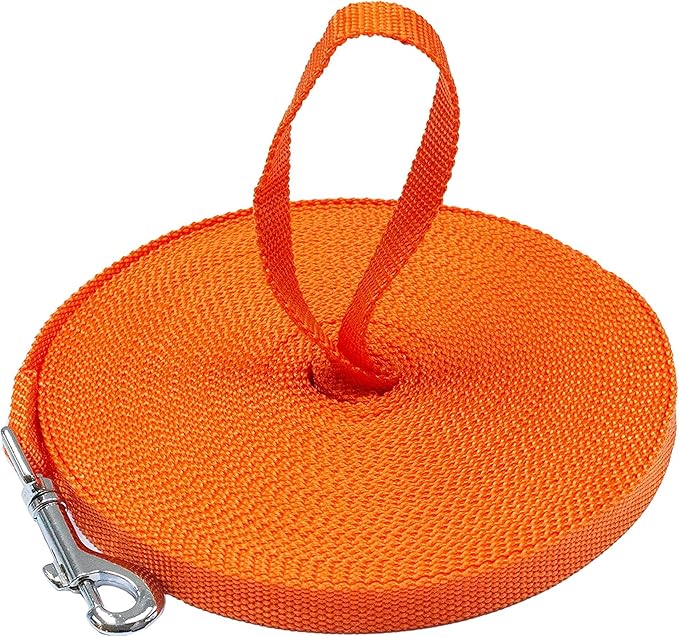 Long Dog Puppy Obedience Recall Training Agility Lead, Leash - ORANGE, 50' Foot - by, Downtown Pet Supply