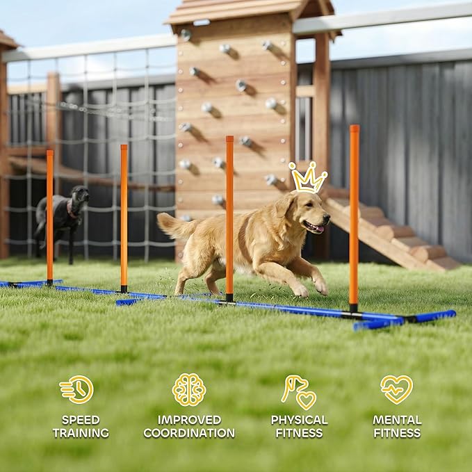 PawHut Adjustable Dog Agility Training Equipment, Dog Agility Course Backyard Set with Weaves Poles, Carry Bag and Ground Stakes for Pet Park Games Exercise