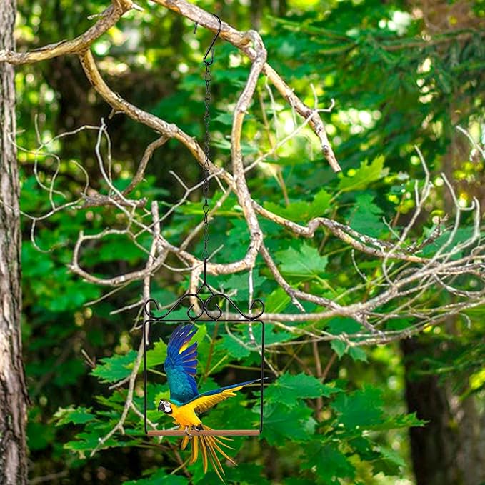Hummingbird Swings and Perches Hummingbird Perch Humming Bird Swing for Hanging Indoor Outdoor Trunk Lawn Patio Garden