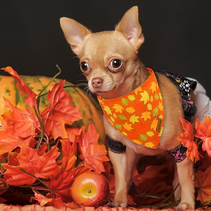 Fall Dog Bandanas - 2 Pack Thanksgiving Dog Bandana with Snap Button | Reversible Pumpkin Pet Scarf for Boy & Girl | Premium Durable Fabric | Holiday Bandana for Medium and Large Dogs (Large)