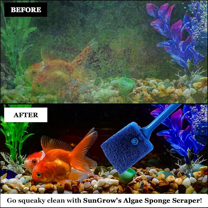SunGrow Aquarium, Crested Gecko, Hermit Crab Sponge Scraper, 16” x 2”, Double-Sided Blue Sponge, Freshwater & Saltwater Fish Tank Maintenance, for Glass Surfaces Only