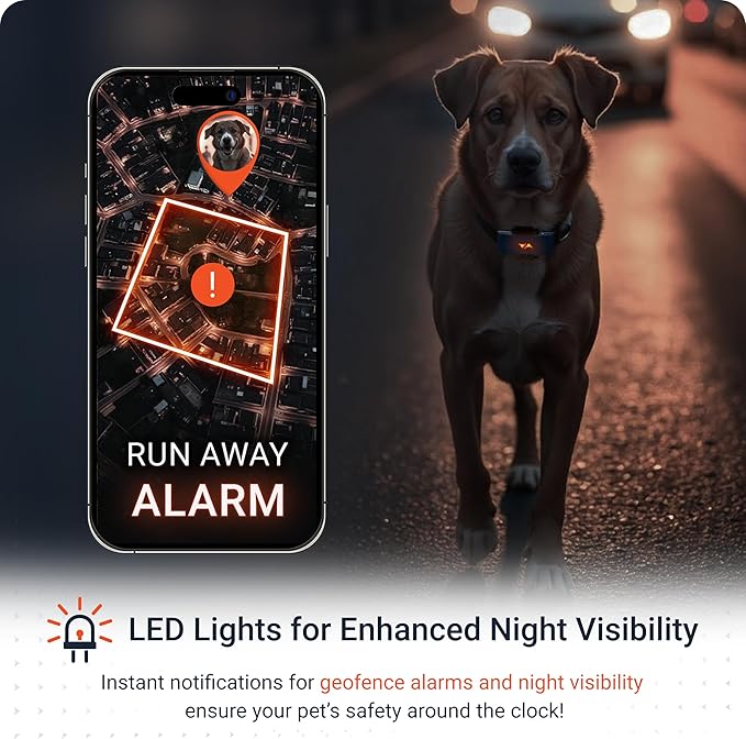 PAJ GPS Dog Tracker - 4G Real-Time Tracking & Runaway Alerts - Waterproof, Long-Range, Smart App Monitor Health & Activity - Fits Any Collar, Mini Device Navigator Chip - Subscription Required - Blue