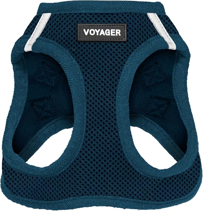 Best Pet Supplies Voyager Step-in Air Harness - All Weather Mesh, Reflective, No Pull Harness for Dogs, Cats - Secure with Hook & Loop Fastener, Buckle, Double D-Rings - Blue, XXXS